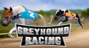 Greyhound Racing